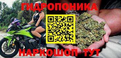 хмурый Тулун
