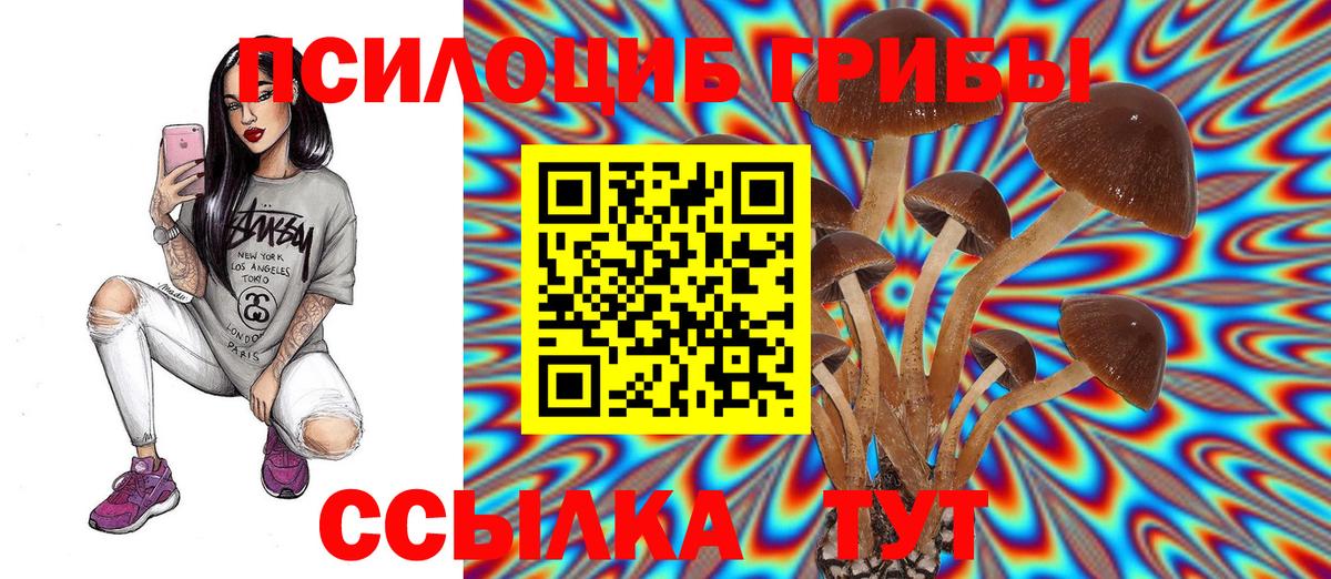 Галлюциногенные грибы Psilocybe Мыски