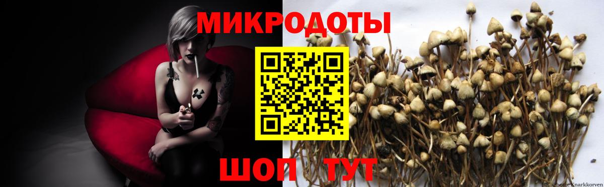 Псилоцибиновые грибы MAGIC MUSHROOMS  Галлюциногенные грибы MAGIC MUSHROOMS  Вход с VPN  купить наркоту  Мыски 